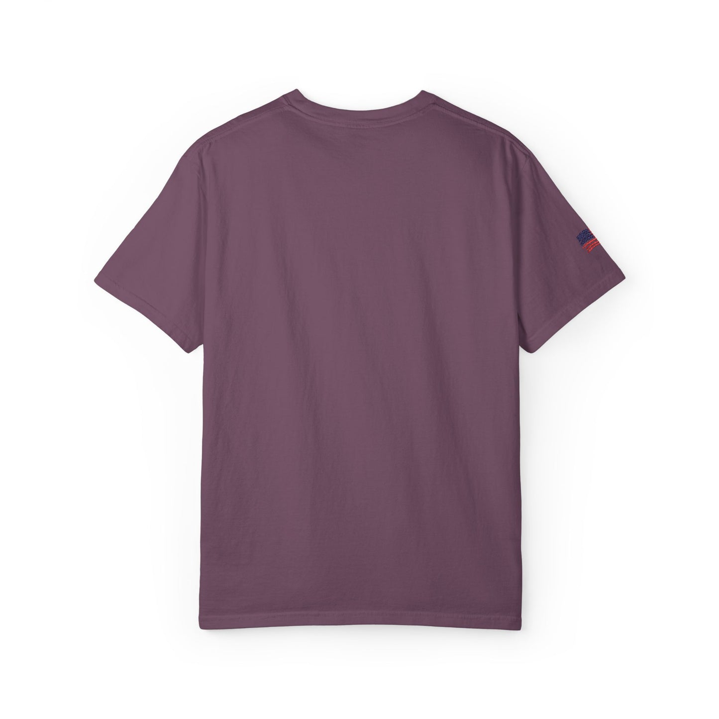 Embroidered RC Antics Unisex Garment-Dyed T-shirt