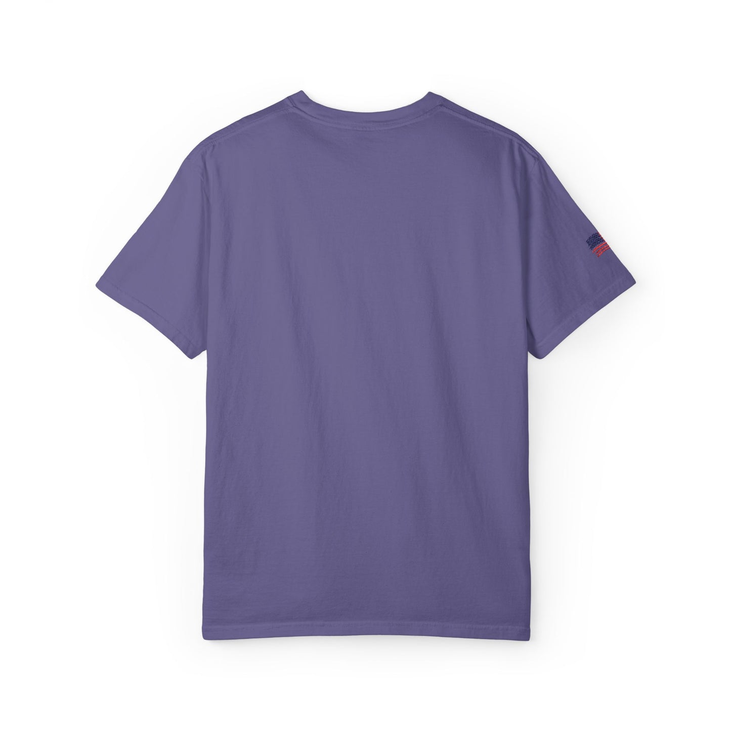 Embroidered RC Antics Unisex Garment-Dyed T-shirt