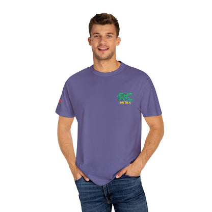Embroidered RC Antics Unisex Garment-Dyed T-shirt