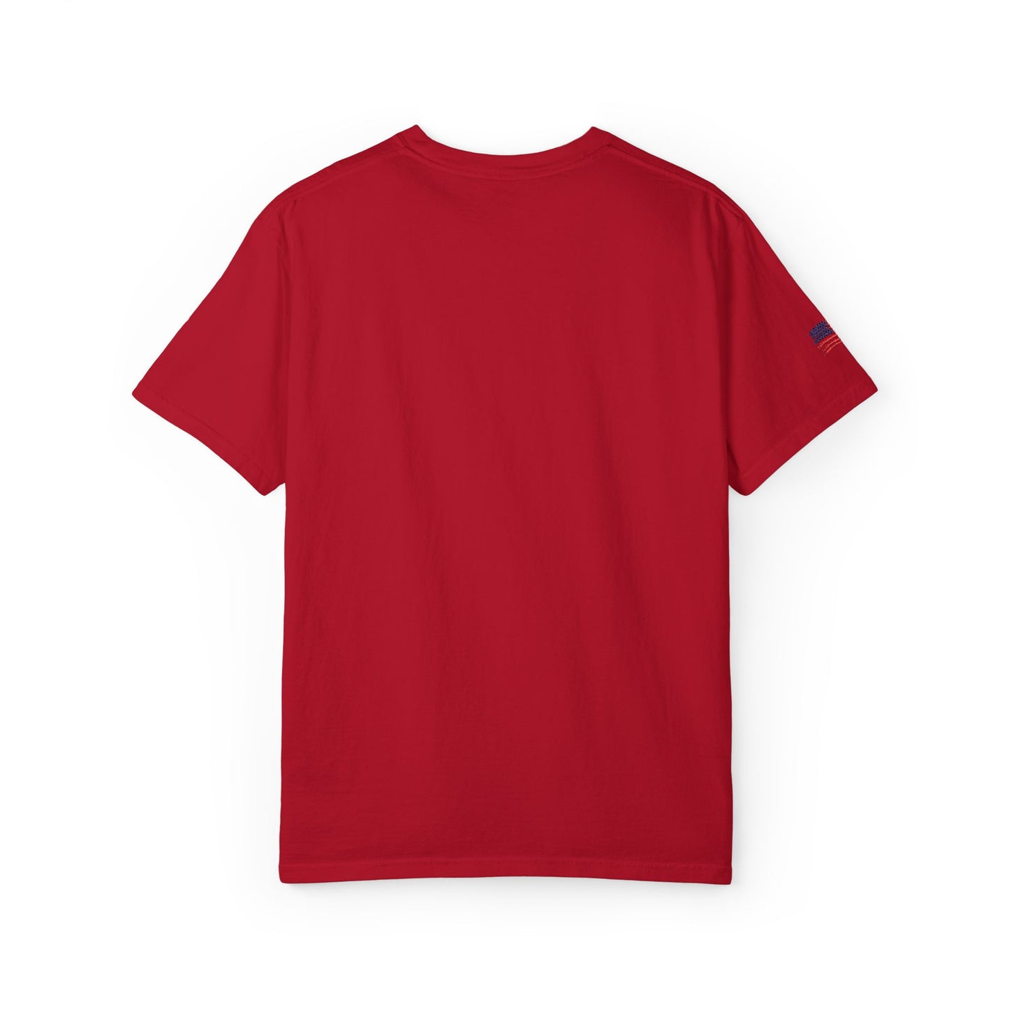 Embroidered RC Antics Unisex Garment-Dyed T-shirt